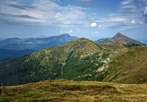 Диктант №226 (56 слів)