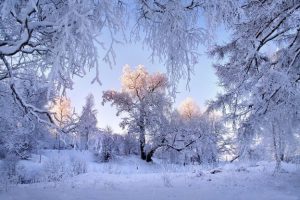 Диктант №234 (35 слів)