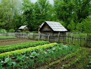 Диктант (+ аудіо) ''Килина'' (За Євгеном Гуцалом) 248 слів