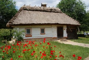 Диктант (+аудіо) ''Спогад про дитинство'' (Євген Гуцало) 234 слів