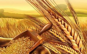 Диктант №472