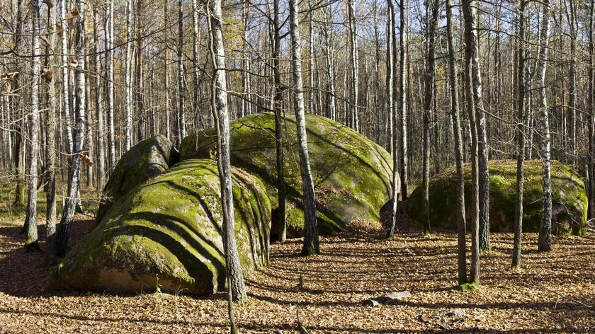 Диктант ''Божий слід'' за В. Кириловець (176 слів)